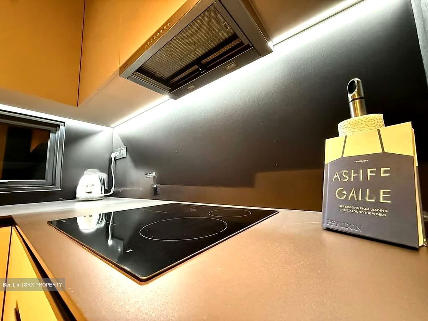 3 Cuscaden (D10), Apartment #573960611